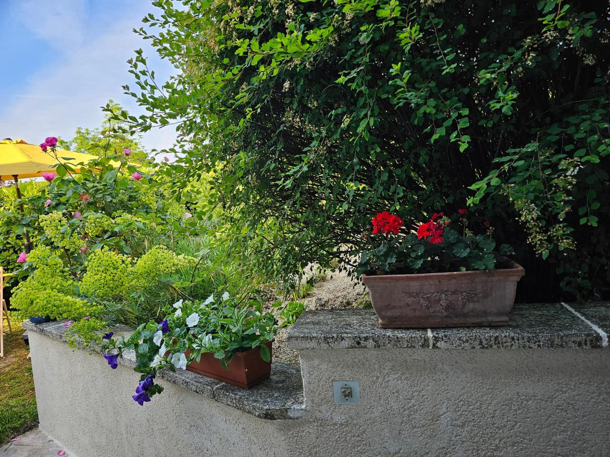Clair Logis Giverny Quarto foto